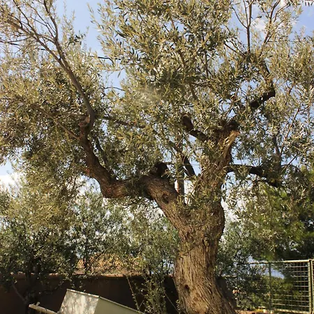 Lejlighed Hillside House