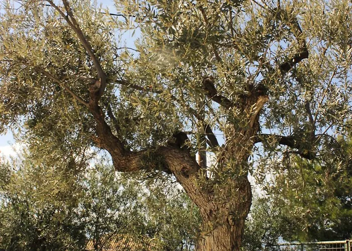 דירה Hillside House